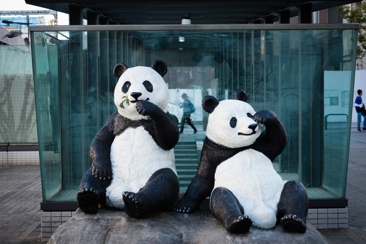 f:id:hachi-log:20201028091426j:plain f:id:hachi-log:20201028091426j:plain