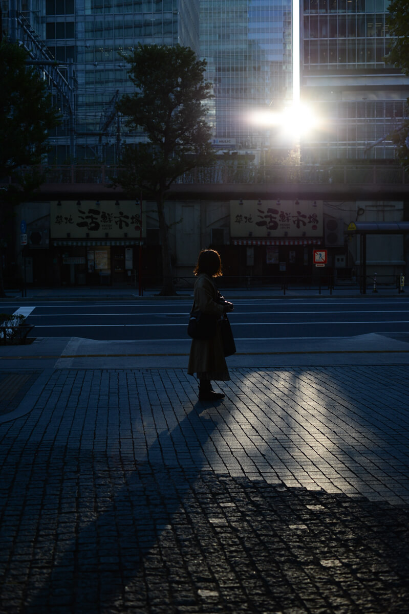 f:id:hachi-log:20201110221211j:plain