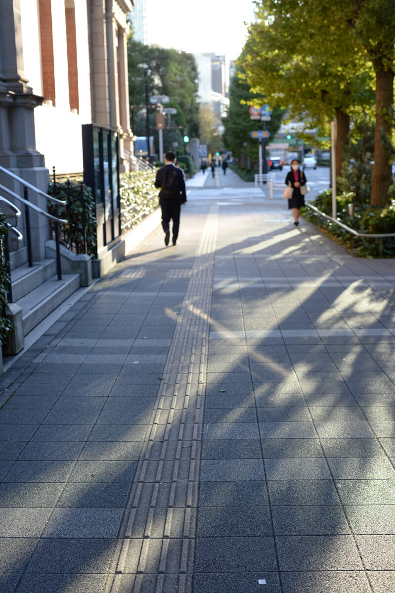 f:id:hachi-log:20201110221235j:plain