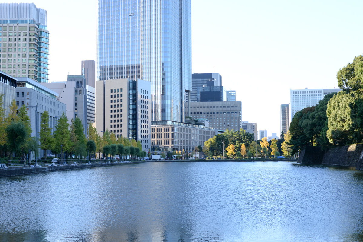 f:id:hachi-log:20201110221258j:plain
