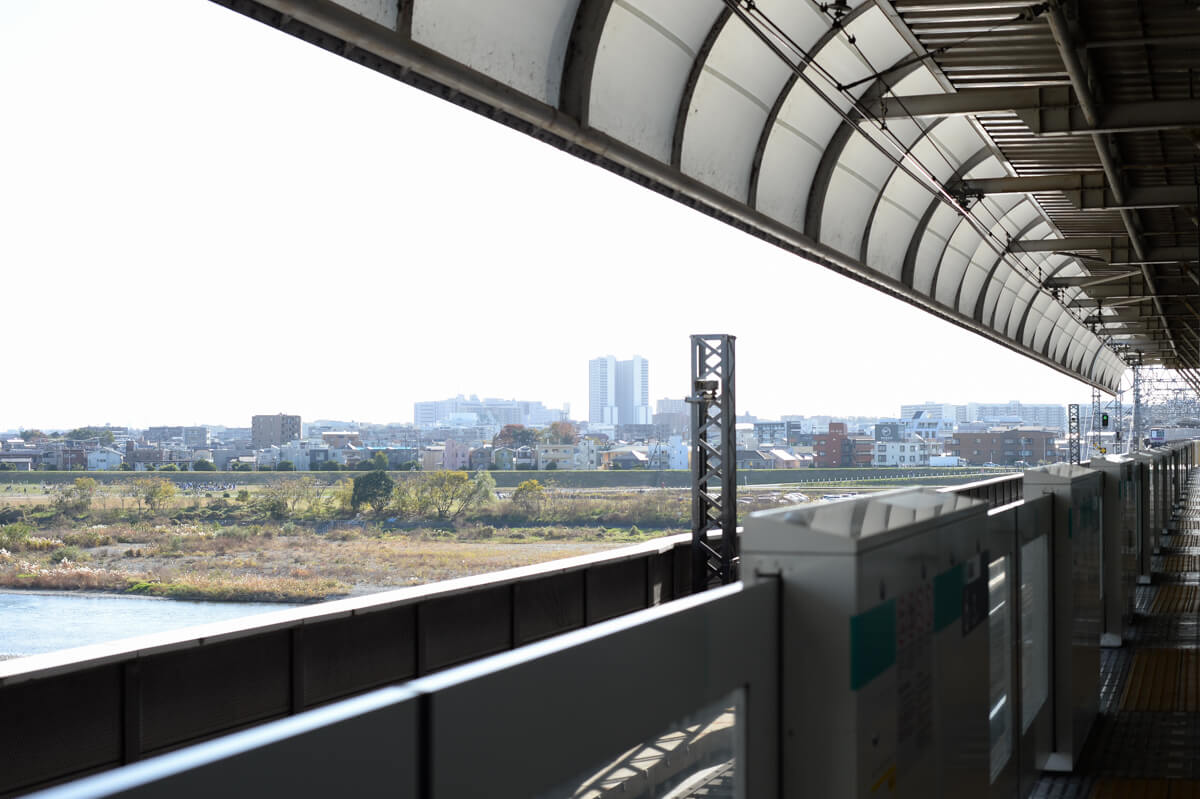 f:id:hachi-log:20201128065949j:plain