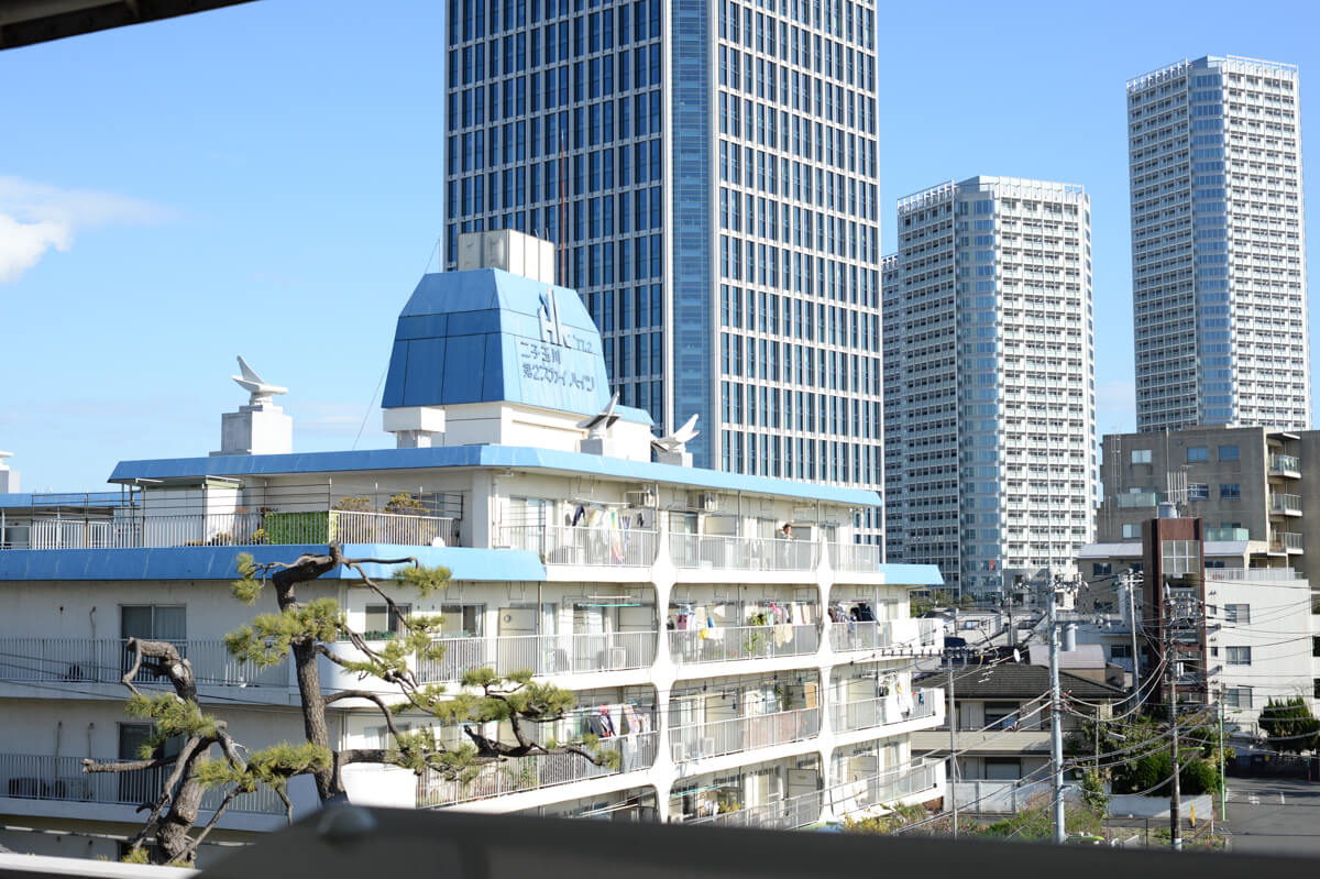 f:id:hachi-log:20201128065958j:plain