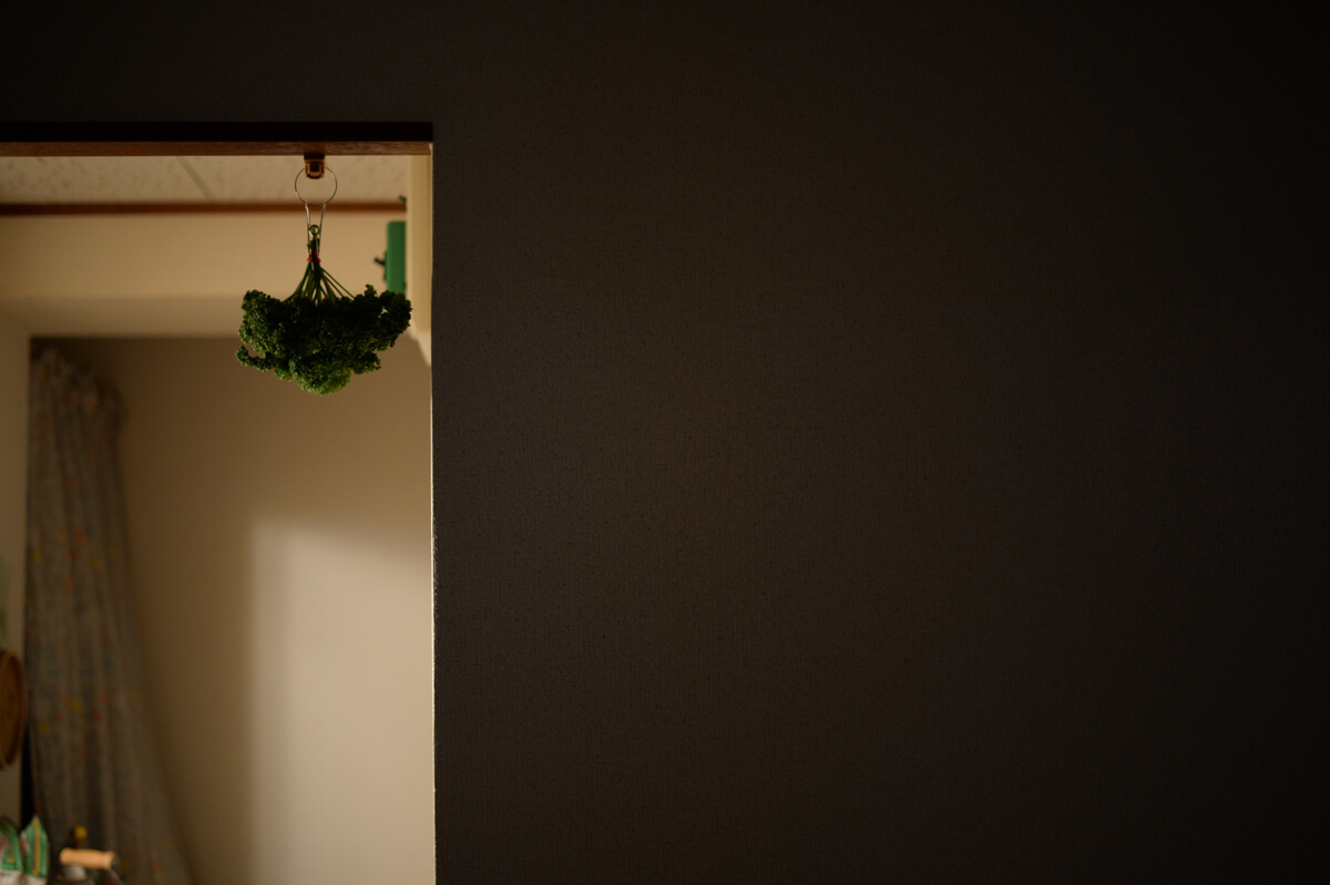 f:id:hachi-log:20201128070014j:plain