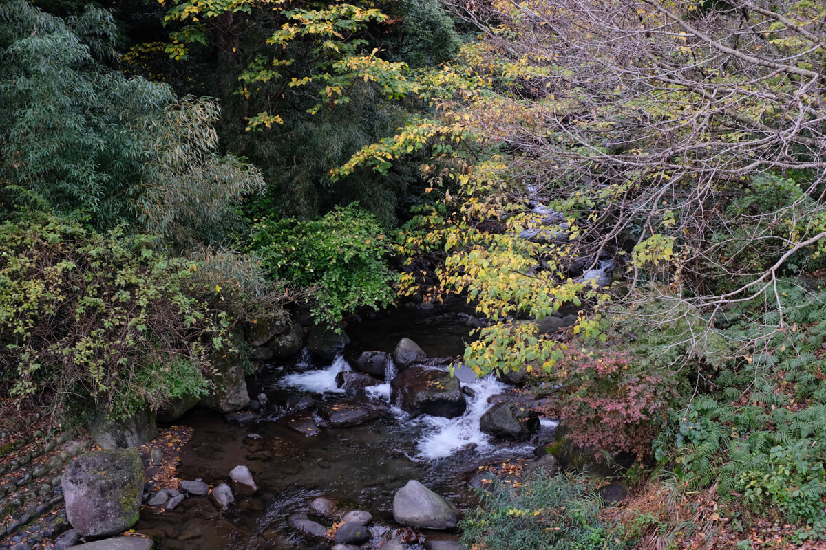 f:id:hachi-log:20201201223935j:plain