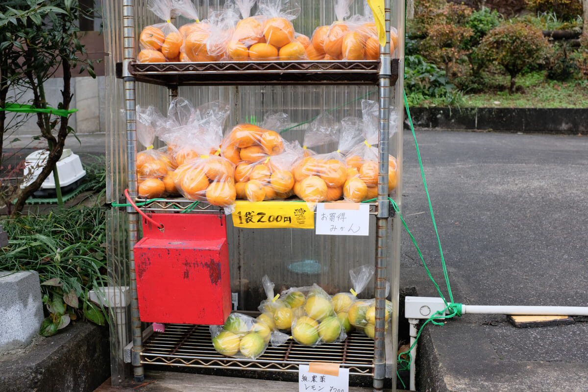 f:id:hachi-log:20201201224004j:plain