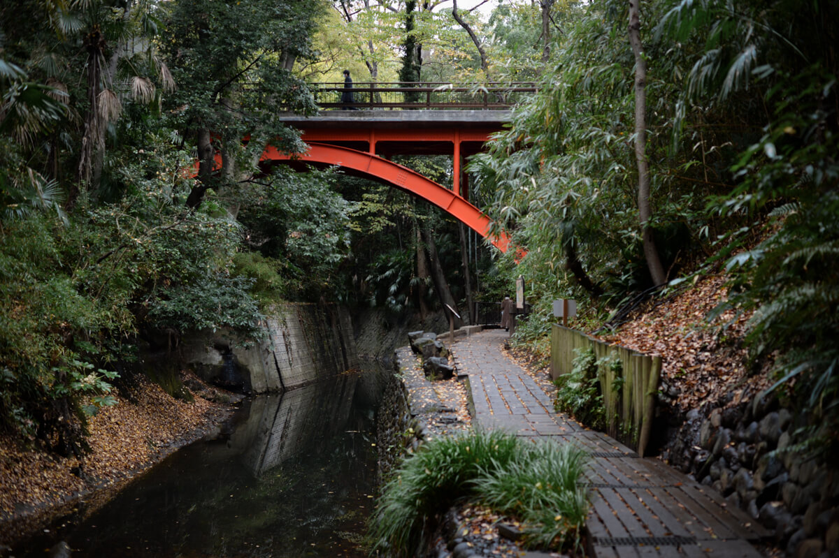 f:id:hachi-log:20201205205357j:plain