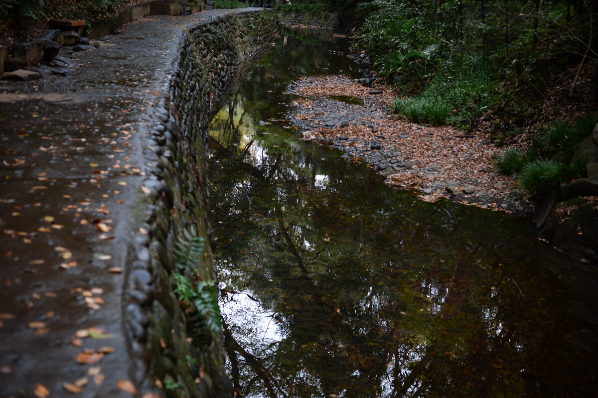 f:id:hachi-log:20201205205405j:plain