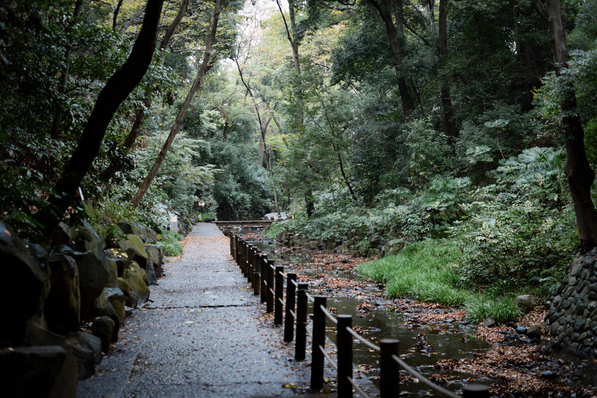 f:id:hachi-log:20201205205441j:plain