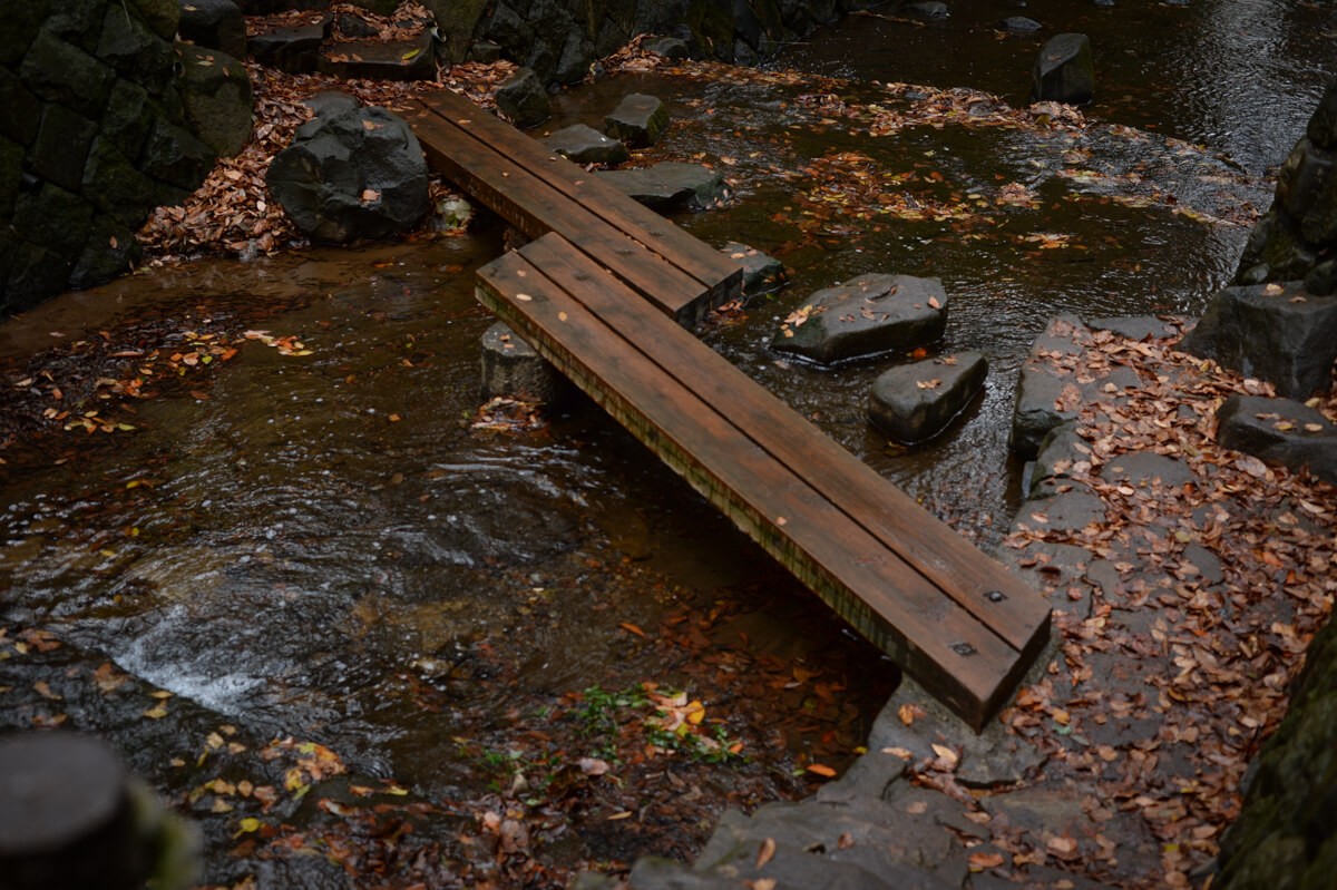 f:id:hachi-log:20201205205448j:plain