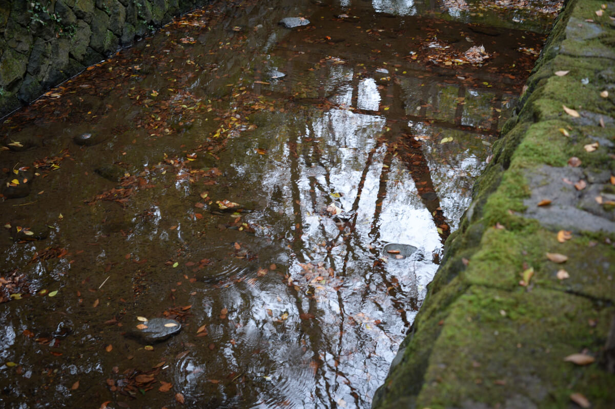 f:id:hachi-log:20201205205459j:plain