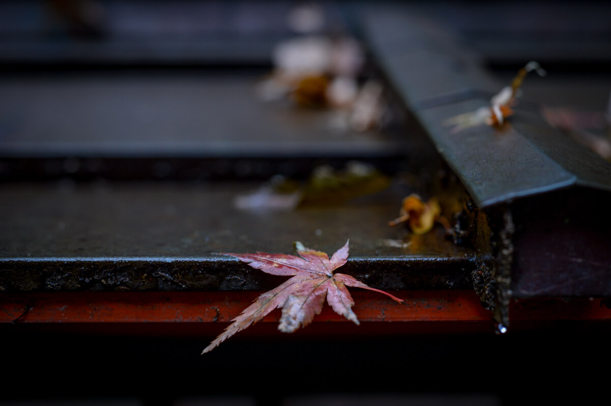 f:id:hachi-log:20201205205643j:plain