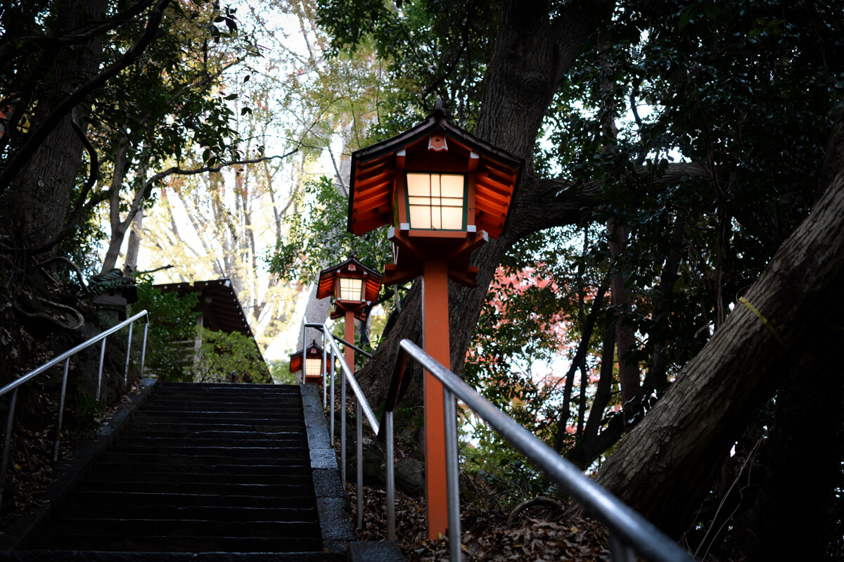 f:id:hachi-log:20201205205649j:plain