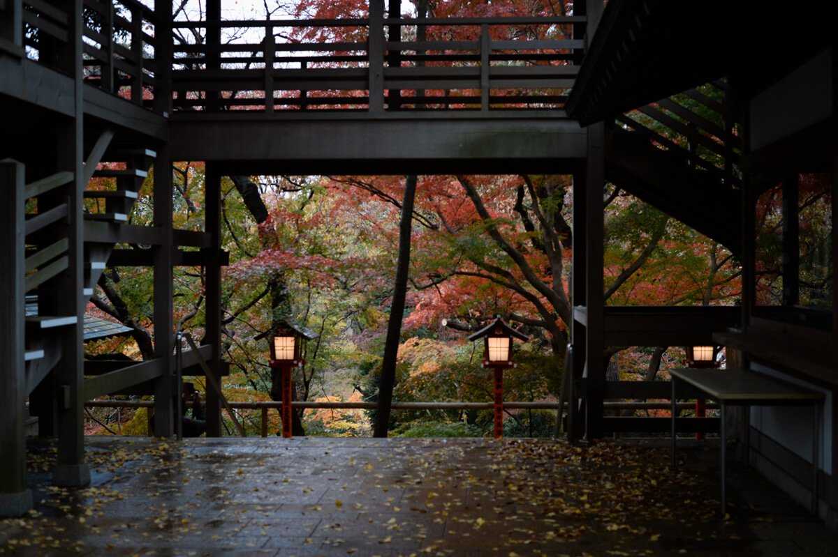 f:id:hachi-log:20201205205711j:plain