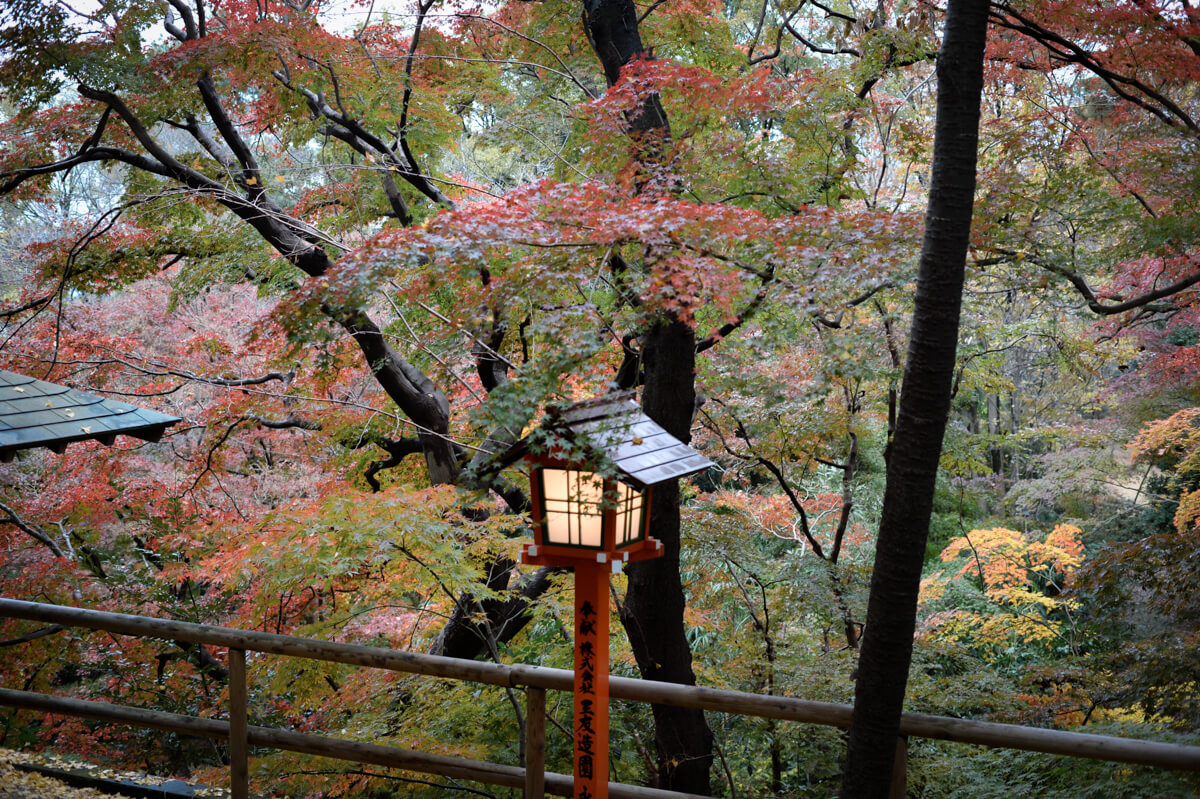 f:id:hachi-log:20201205205715j:plain