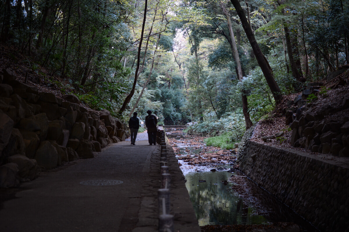 f:id:hachi-log:20201205205737j:plain