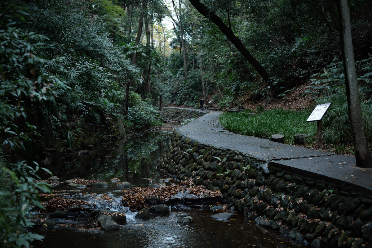 f:id:hachi-log:20201205205749j:plain