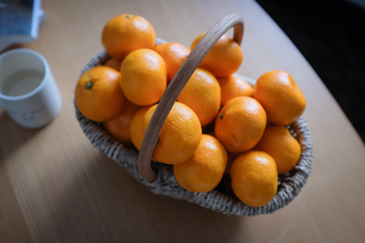f:id:hachi-log:20201228091726j:plain