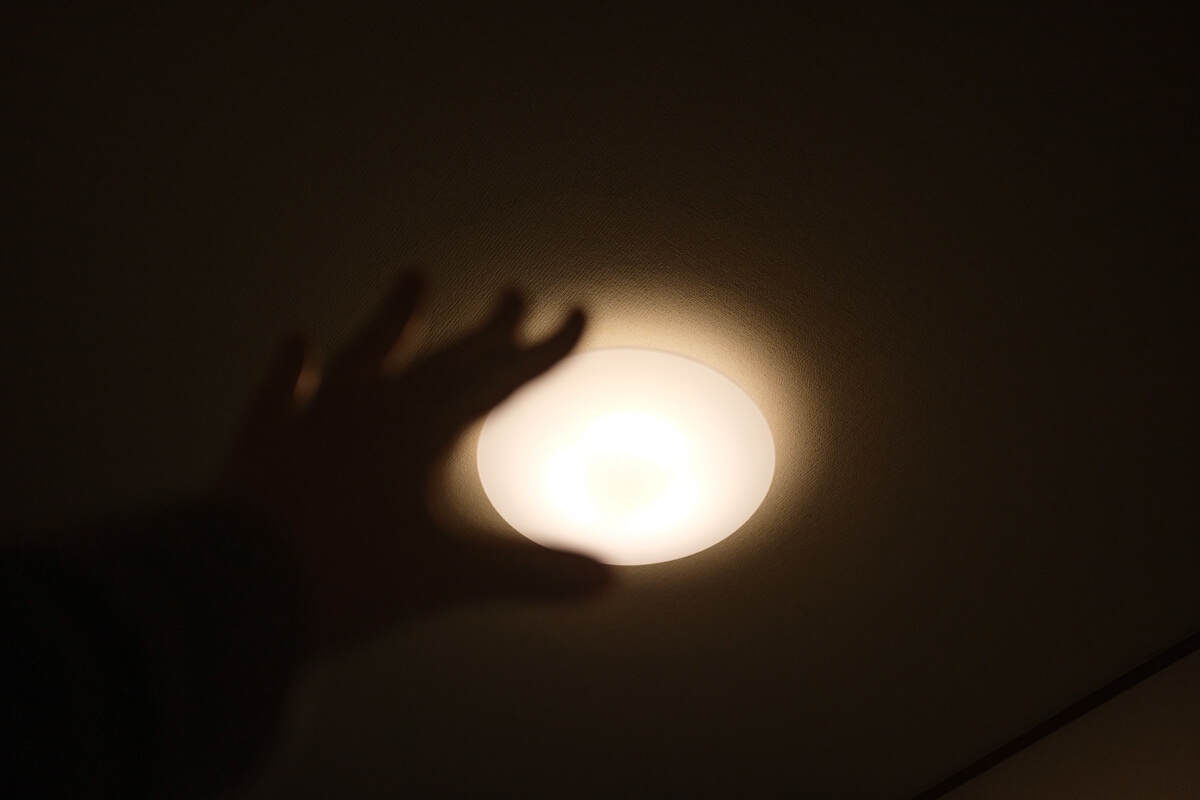 f:id:hachi-log:20201228092131j:plain