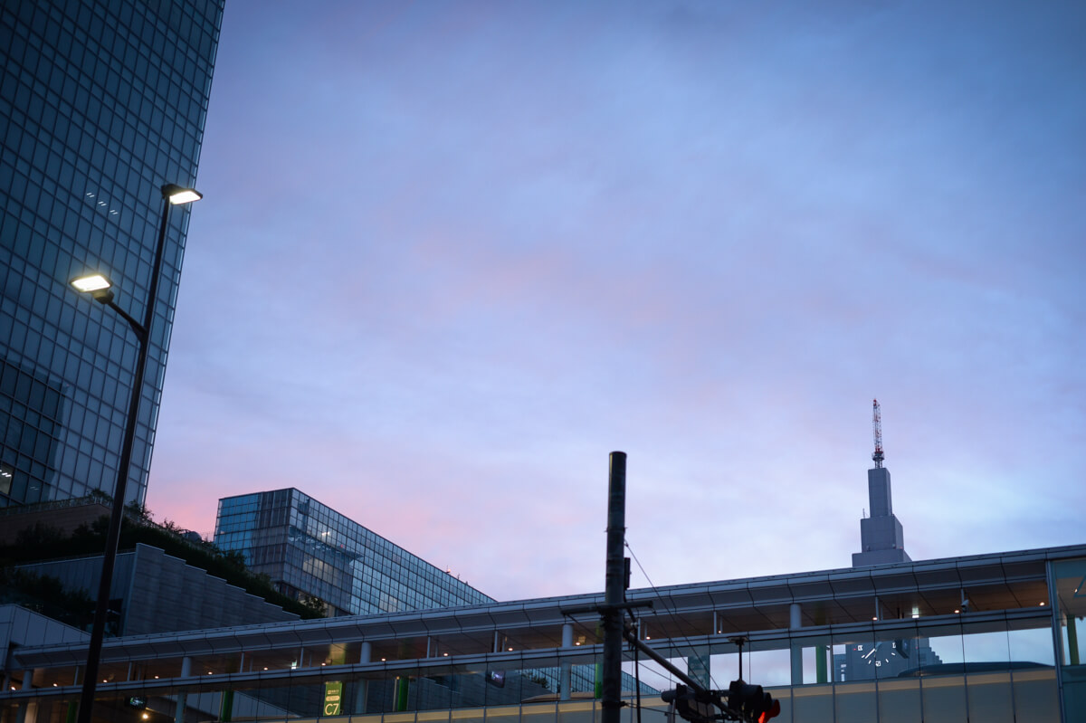 f:id:hachi-log:20210102161841j:plain