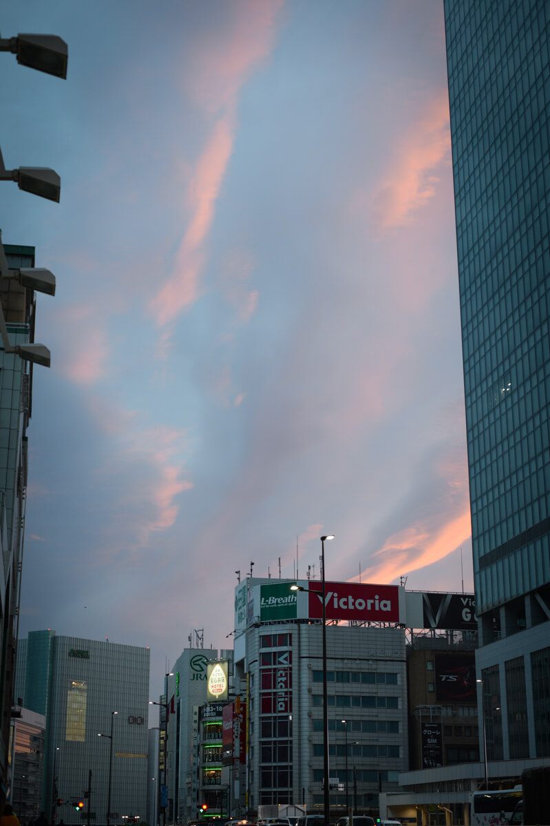 f:id:hachi-log:20210102161846j:plain