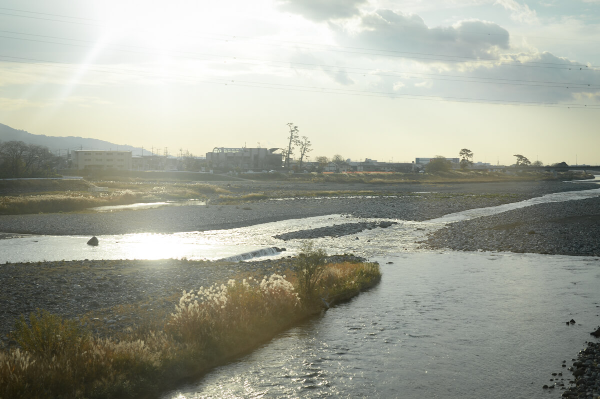 f:id:hachi-log:20210102161909j:plain