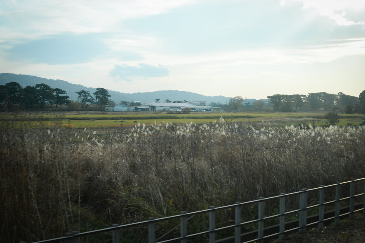 f:id:hachi-log:20210102161912j:plain