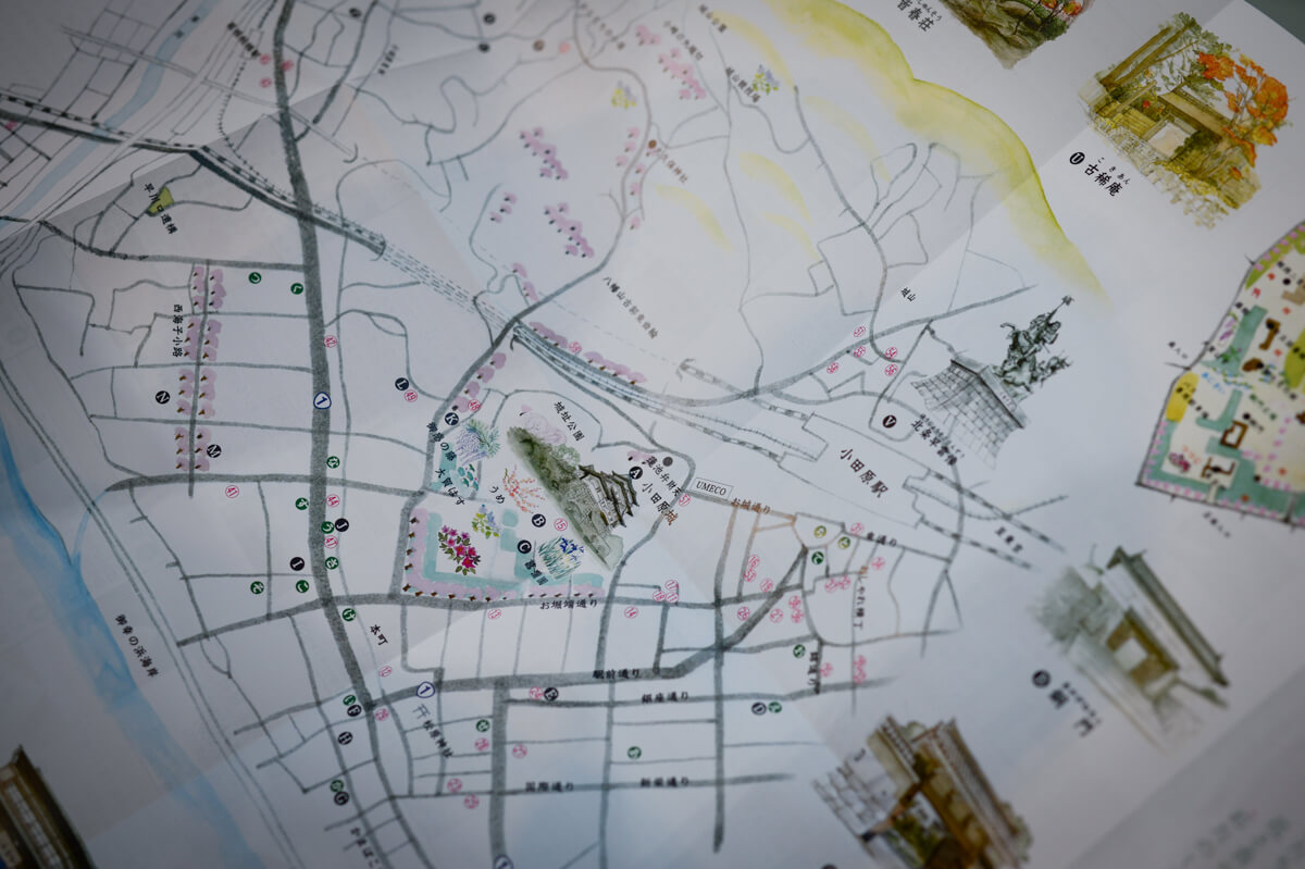 f:id:hachi-log:20210102161924j:plain