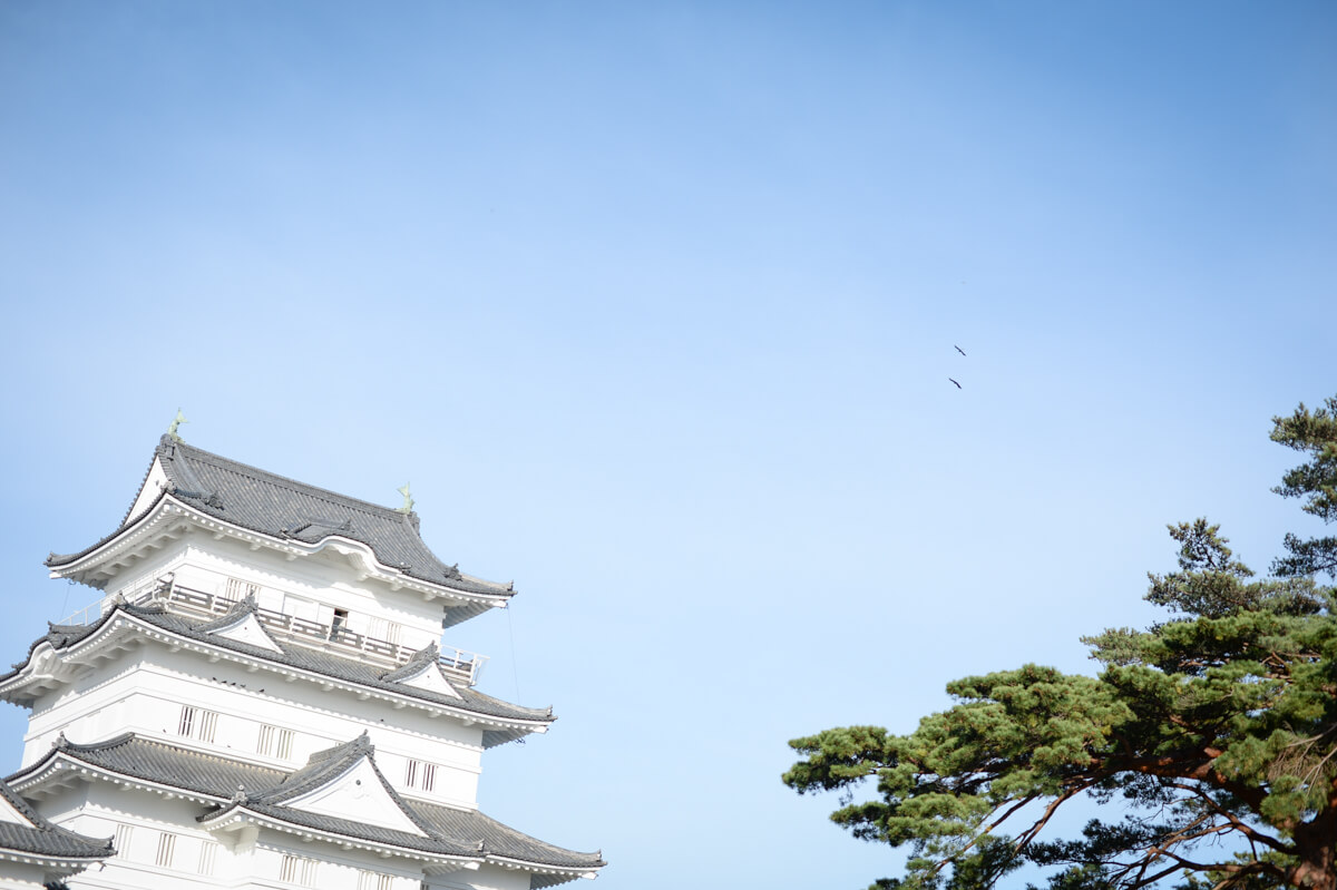 f:id:hachi-log:20210102161931j:plain