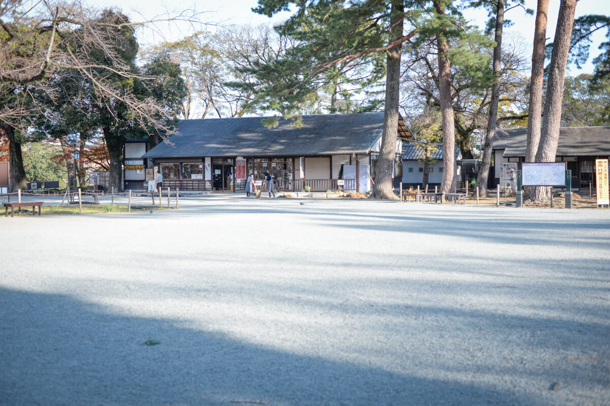 f:id:hachi-log:20210102161936j:plain