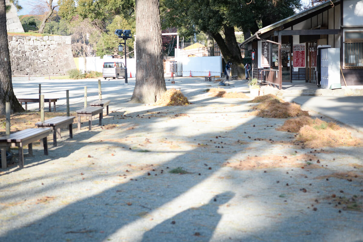 f:id:hachi-log:20210102161944j:plain