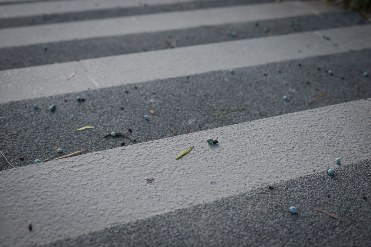 f:id:hachi-log:20210102162011j:plain