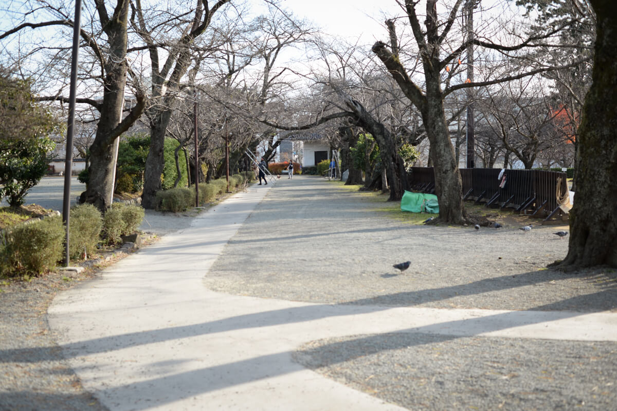 f:id:hachi-log:20210102162022j:plain