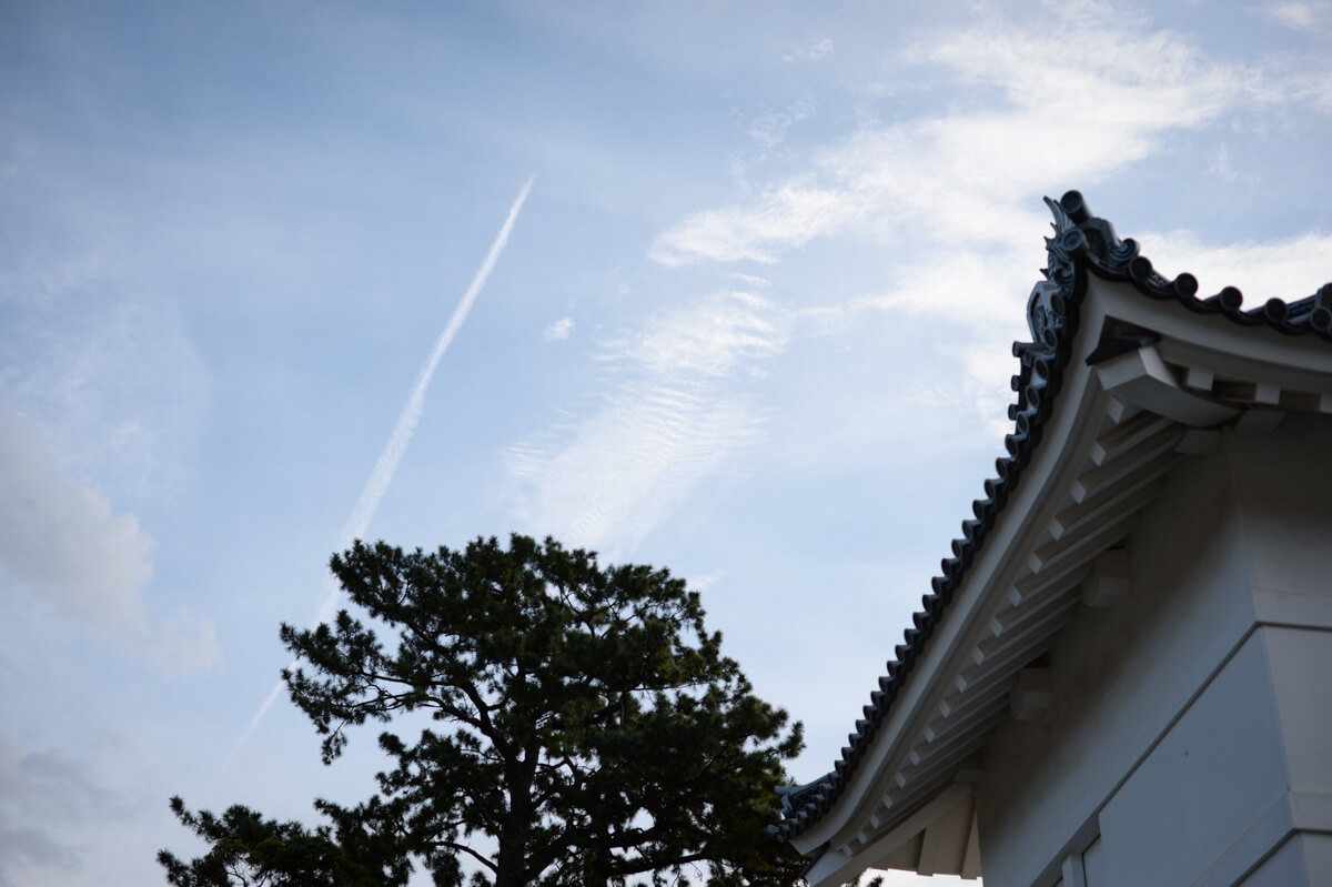 f:id:hachi-log:20210102162026j:plain