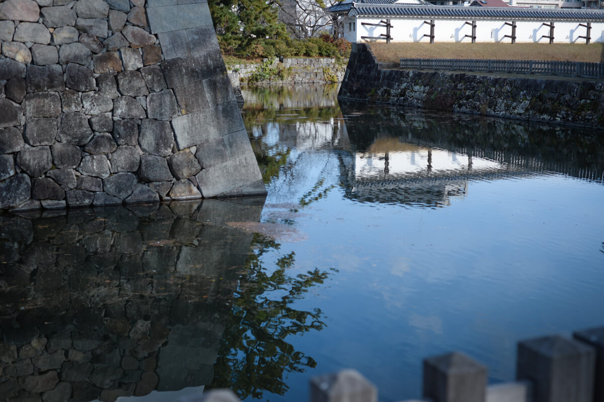 f:id:hachi-log:20210102162029j:plain