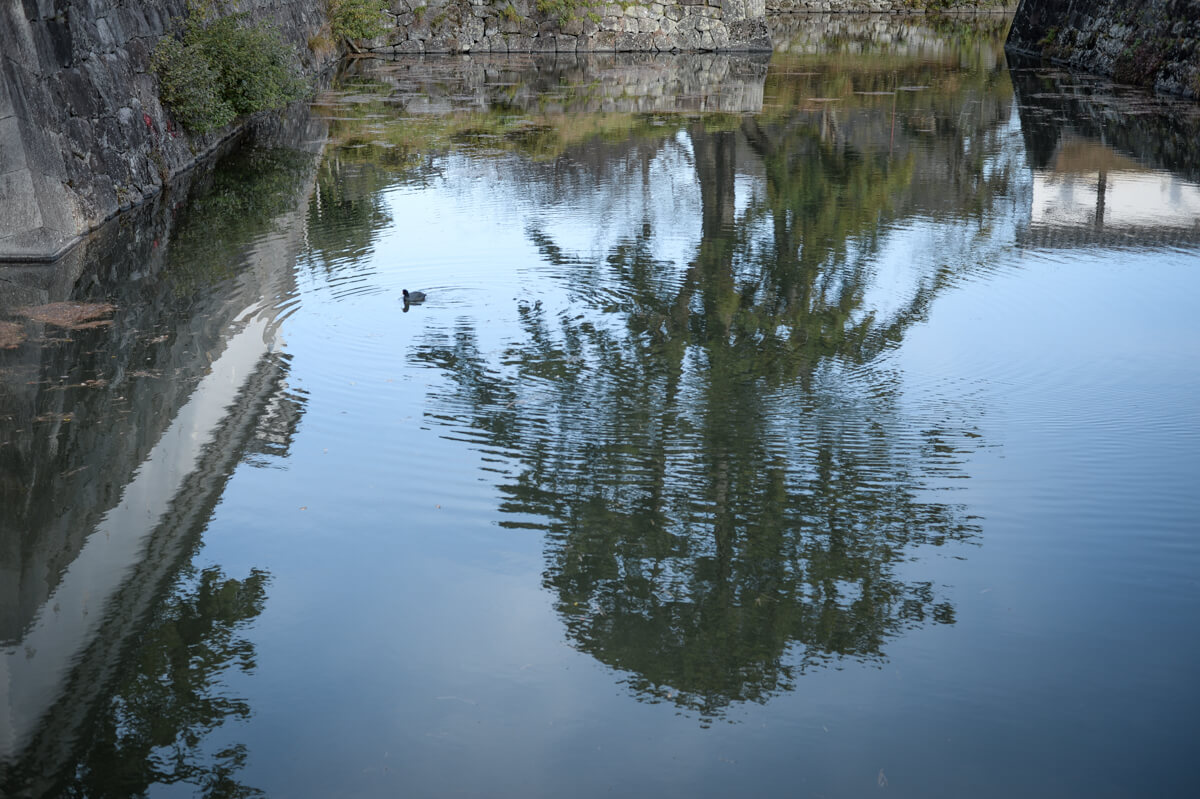 f:id:hachi-log:20210102162033j:plain