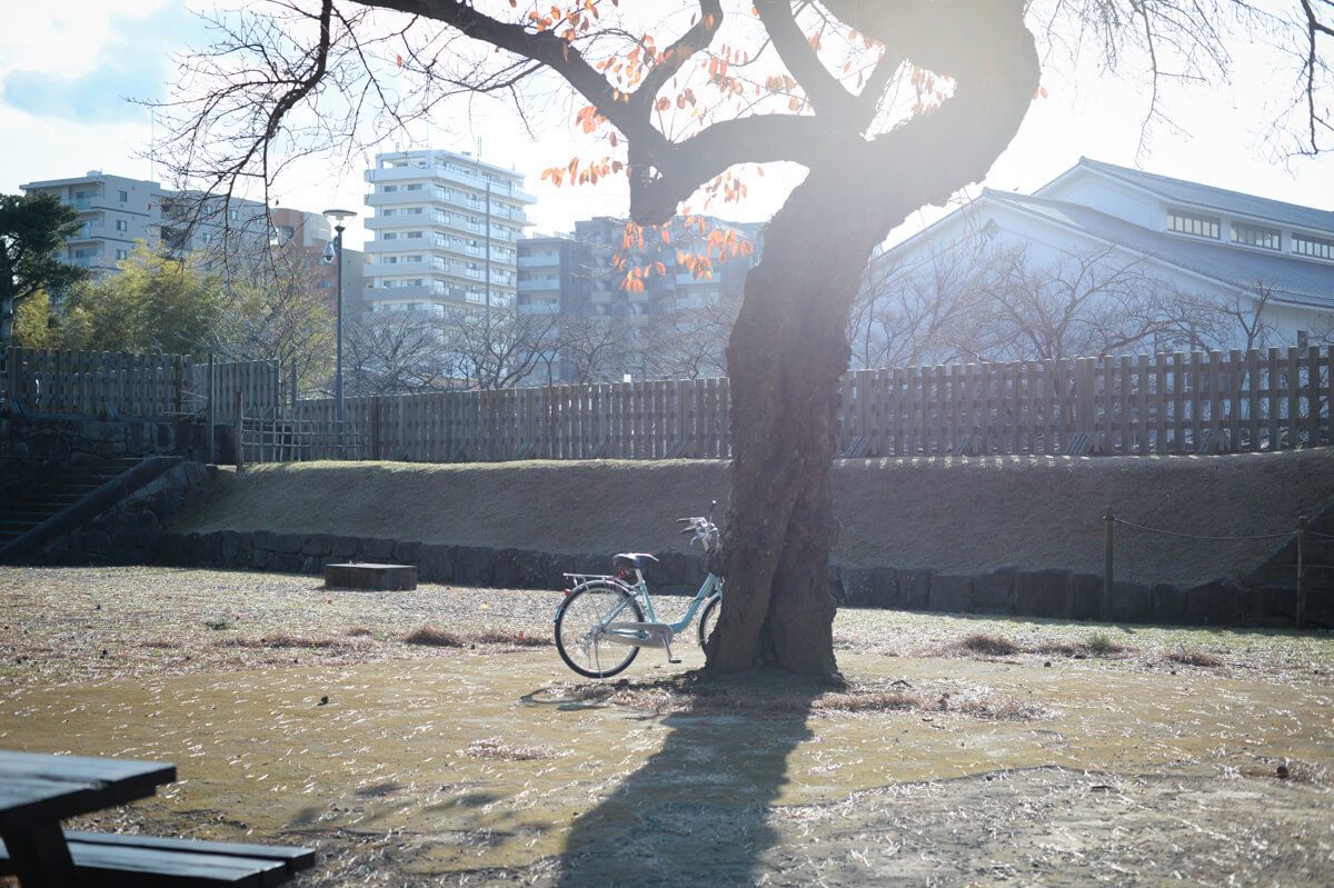 f:id:hachi-log:20210102162036j:plain