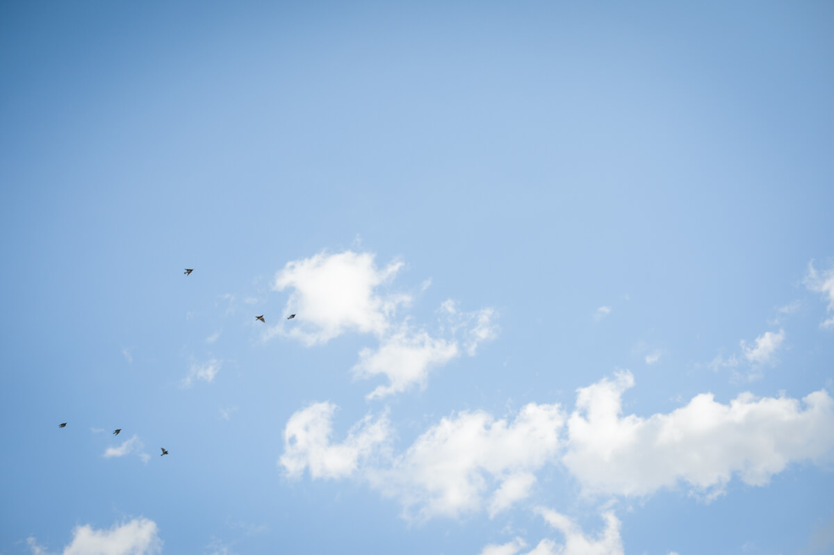 f:id:hachi-log:20210102162055j:plain