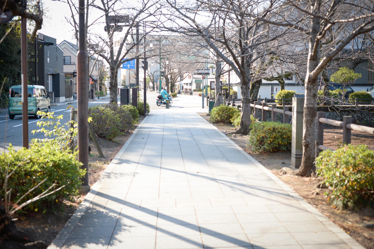 f:id:hachi-log:20210102162116j:plain