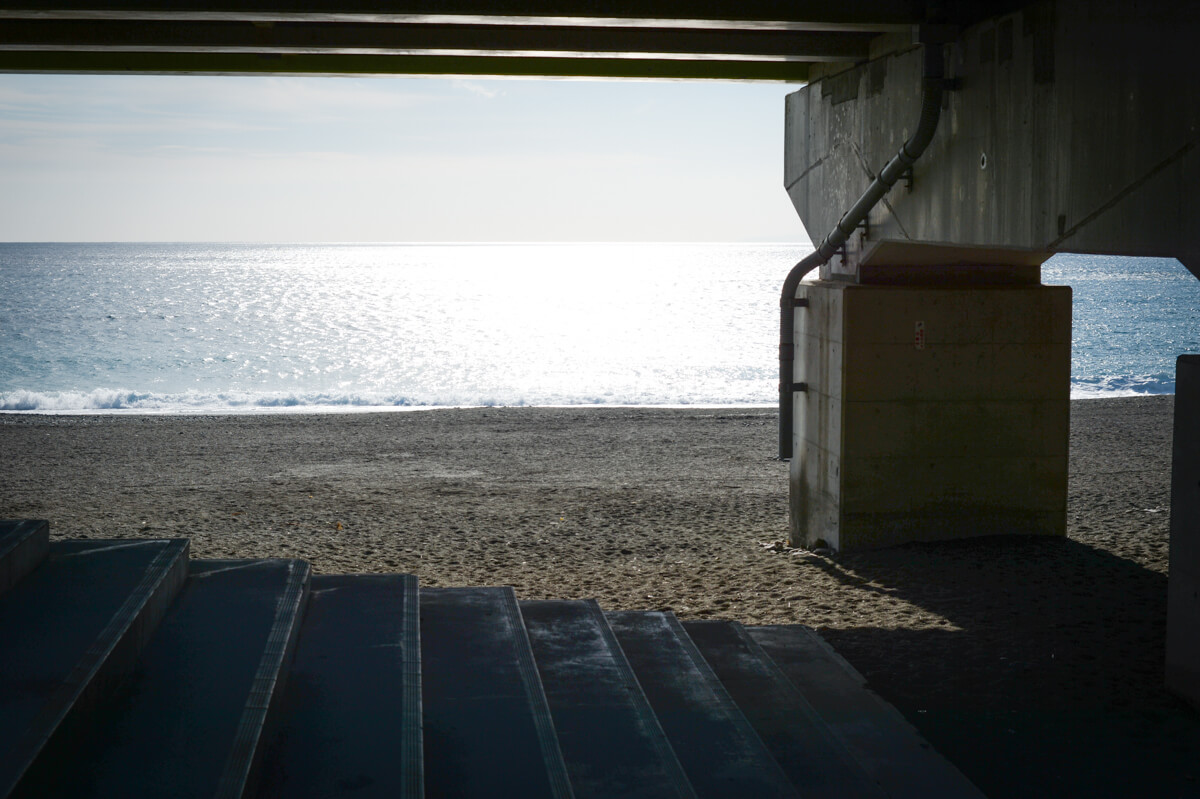 f:id:hachi-log:20210102162134j:plain