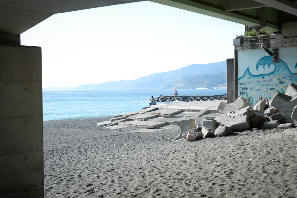 f:id:hachi-log:20210102162138j:plain