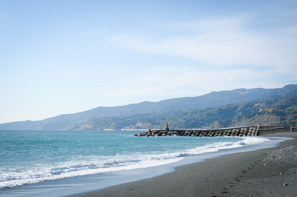 f:id:hachi-log:20210102162143j:plain