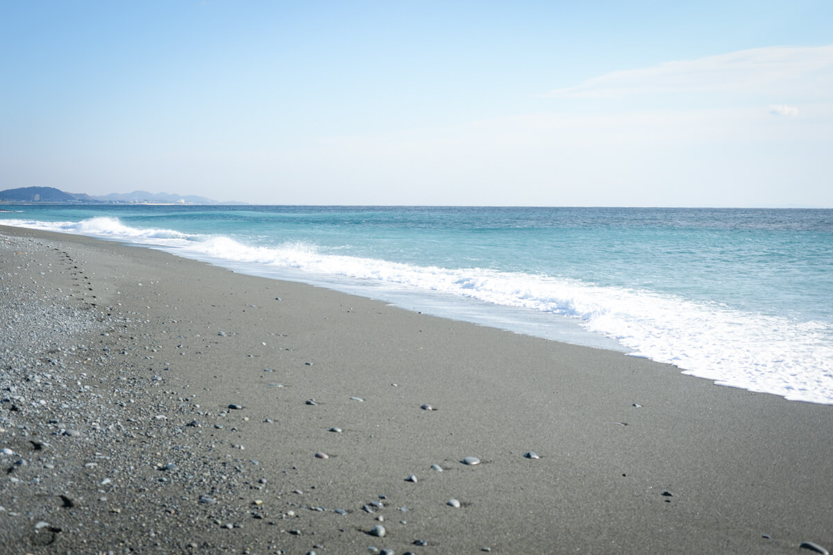 f:id:hachi-log:20210102162146j:plain