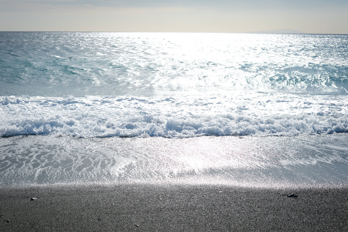 f:id:hachi-log:20210102162150j:plain