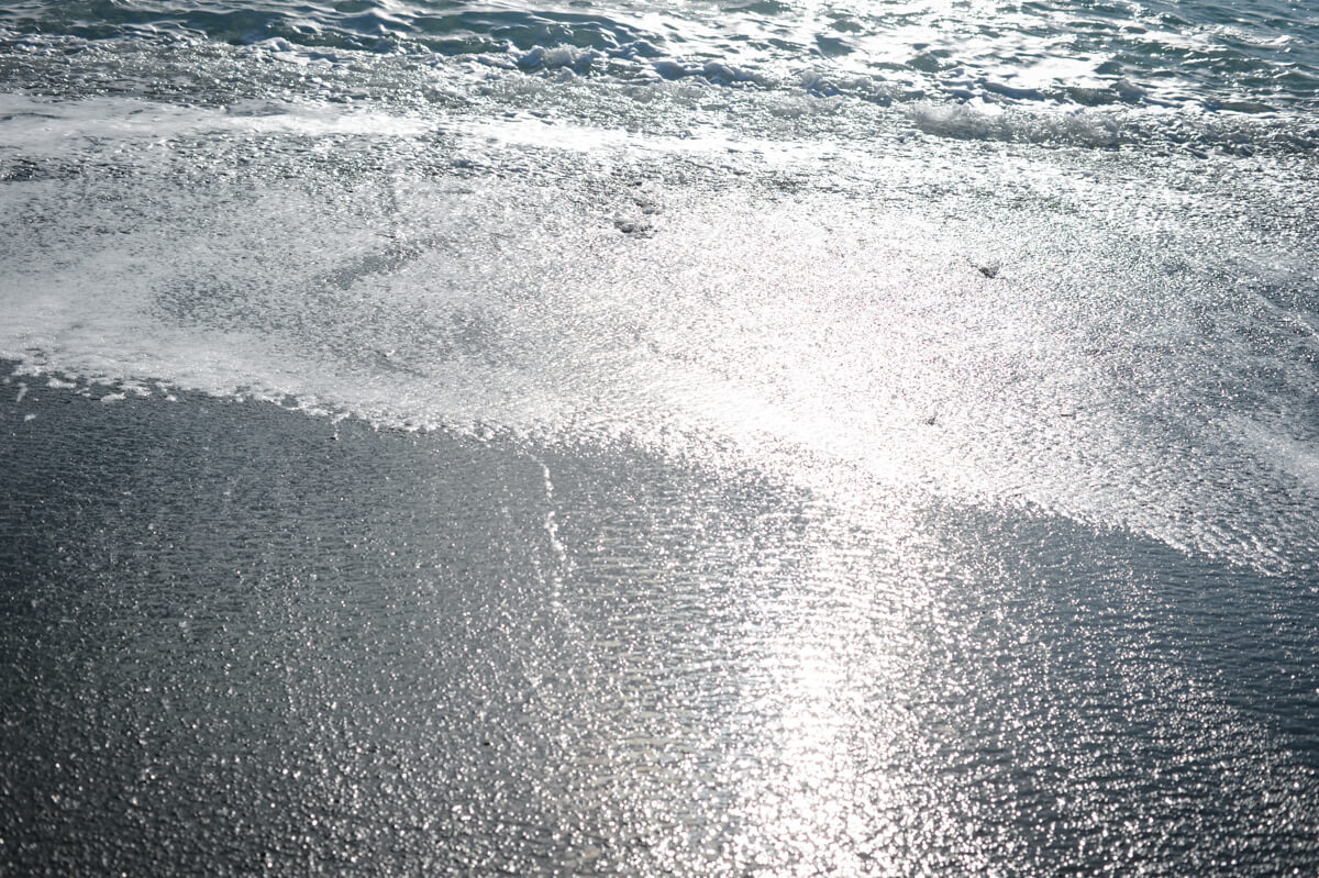 f:id:hachi-log:20210102162154j:plain