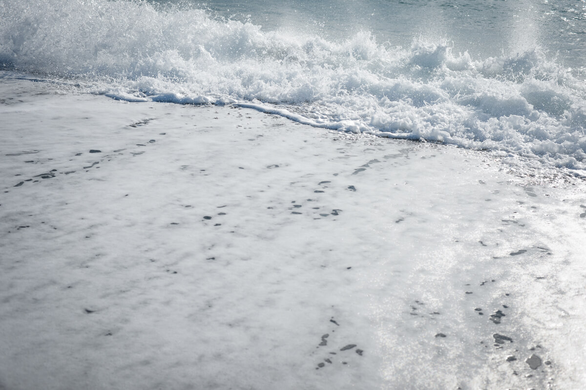 f:id:hachi-log:20210102162157j:plain