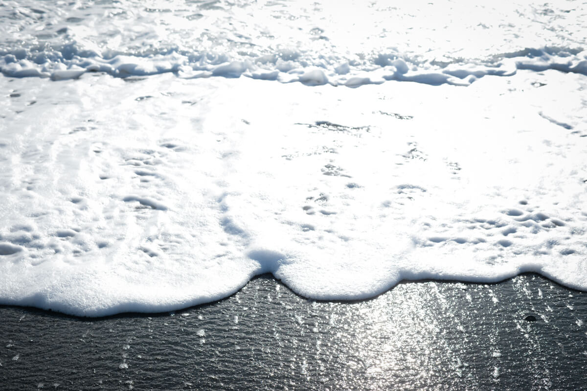 f:id:hachi-log:20210102162202j:plain