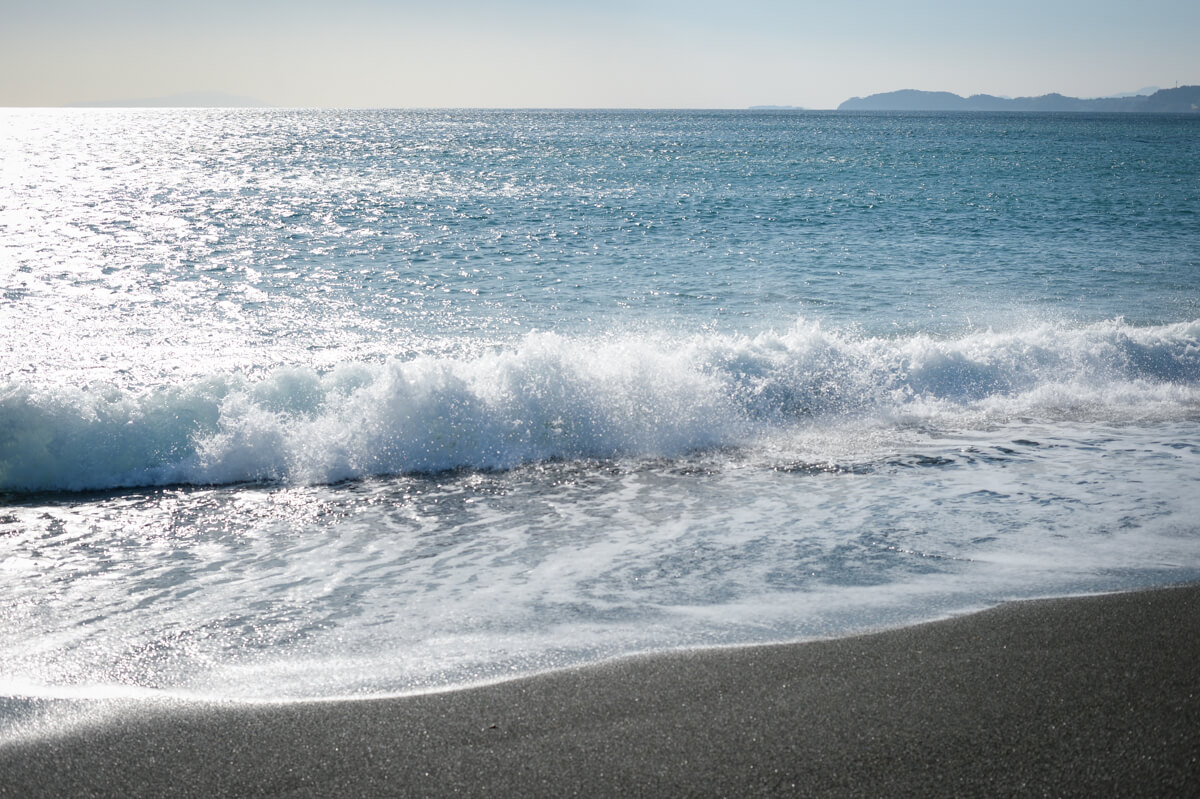 f:id:hachi-log:20210102162207j:plain