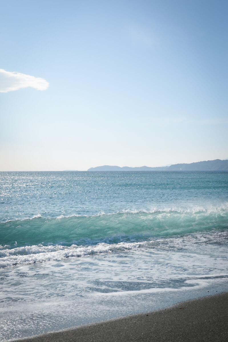 f:id:hachi-log:20210102162211j:plain