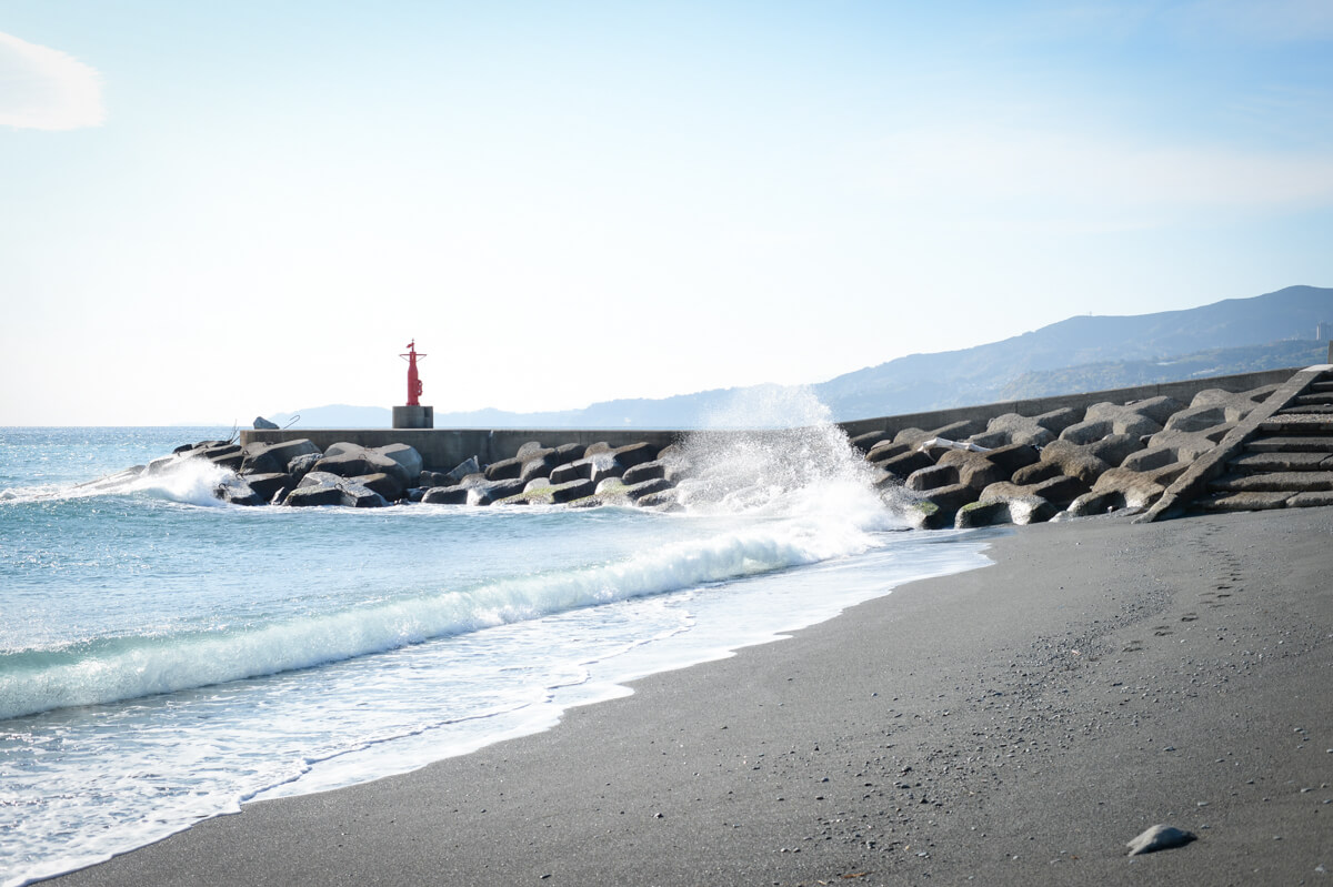 f:id:hachi-log:20210102162215j:plain