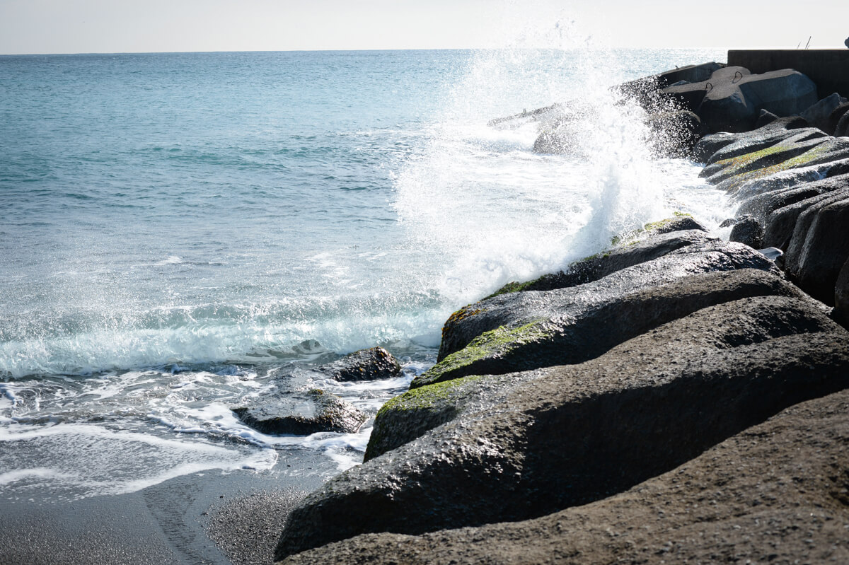 f:id:hachi-log:20210102162219j:plain